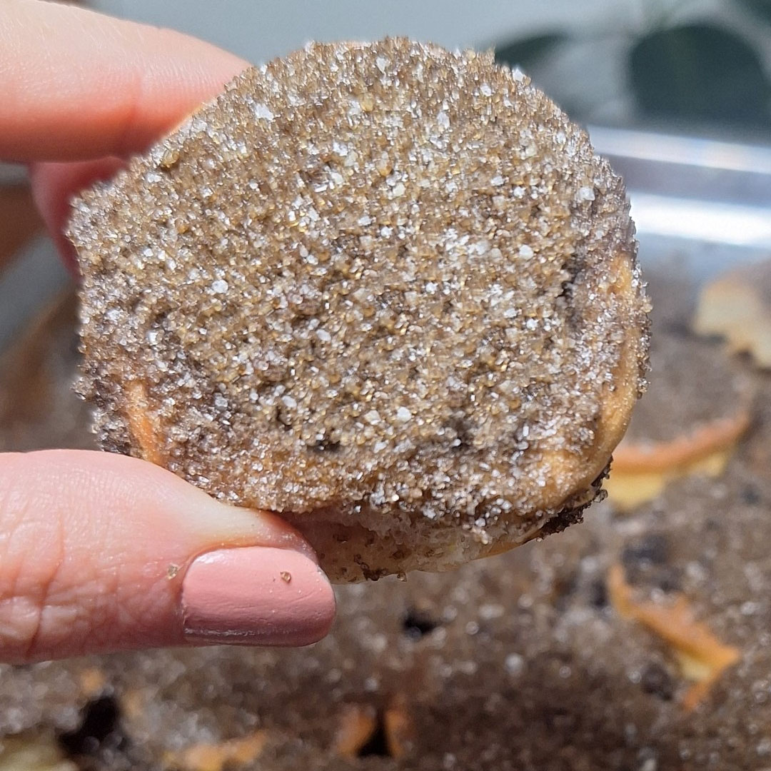 ¿Tortitas Negras o Carasucias? Receta de un clásico argentino ideal para emprender
