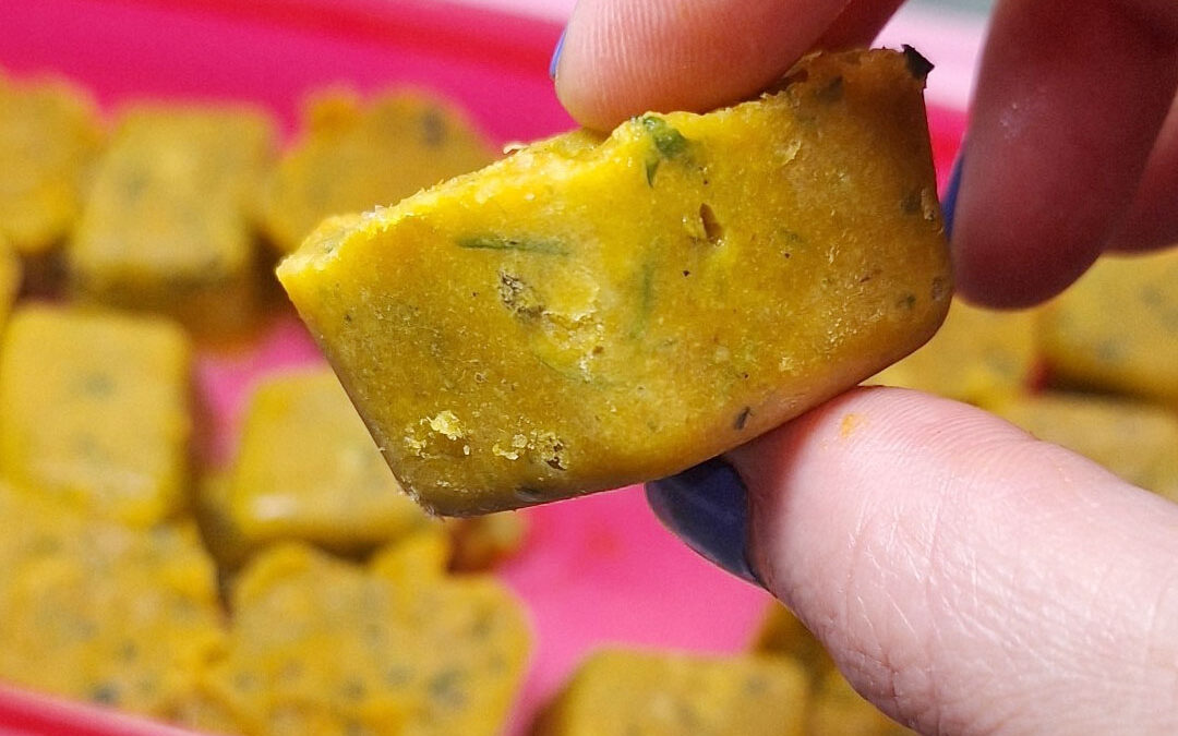 Cubitos de caldo caseros (Sin Químicos): Sabor natural y rentabilidad «Residuo Cero»